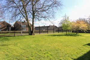 Photo 12- click for photo gallery